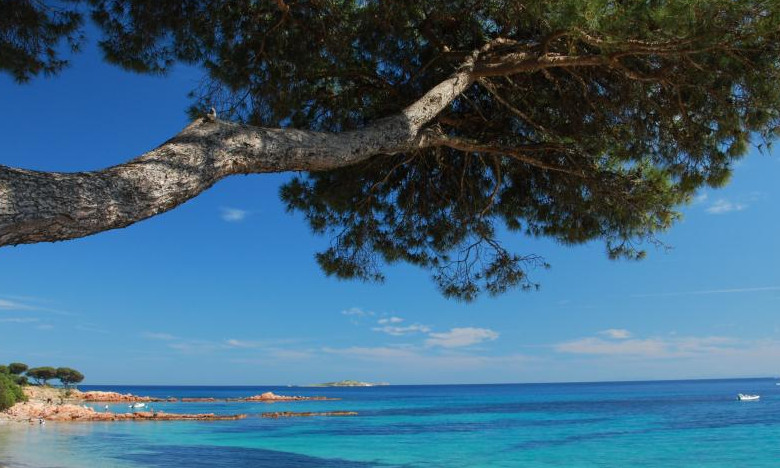 Strandliv på Korsika